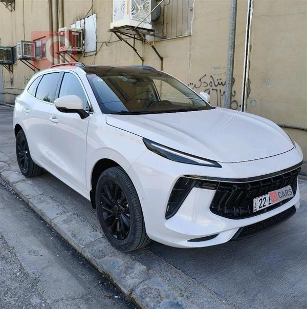 دونج فينج T5 EVO 2023 للبيع في العراق - اربيل